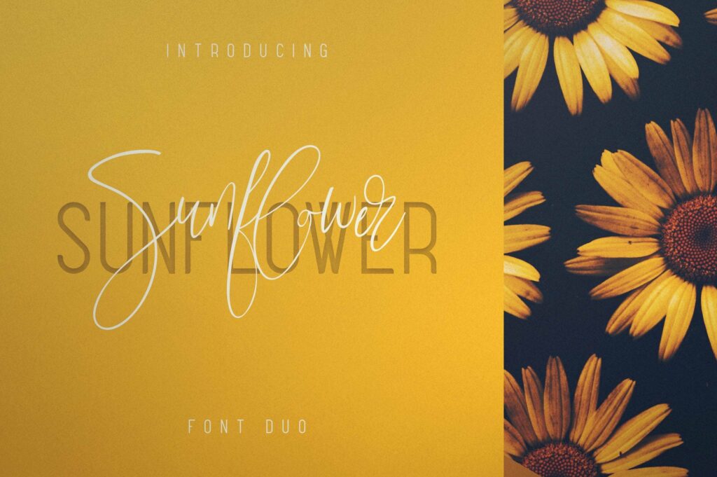 Sunflower - Font Duo Poster 2
