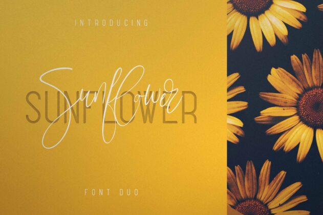 Sunflower - Font Duo Poster 2