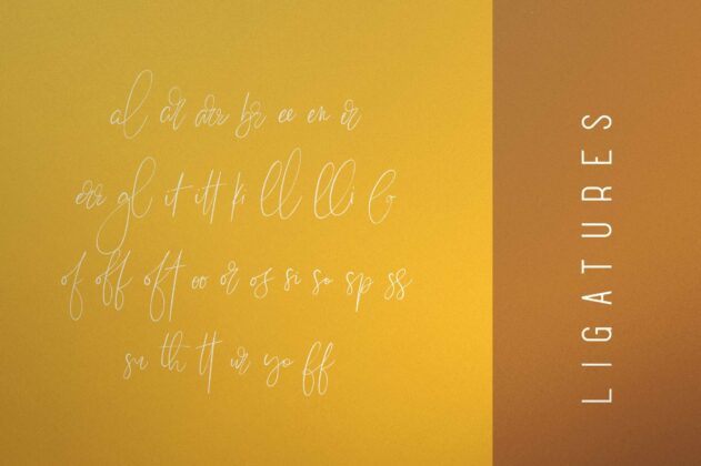 Sunflower - Font Duo Poster 9