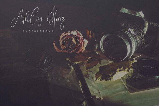 Sunflower - Font Duo Poster 10