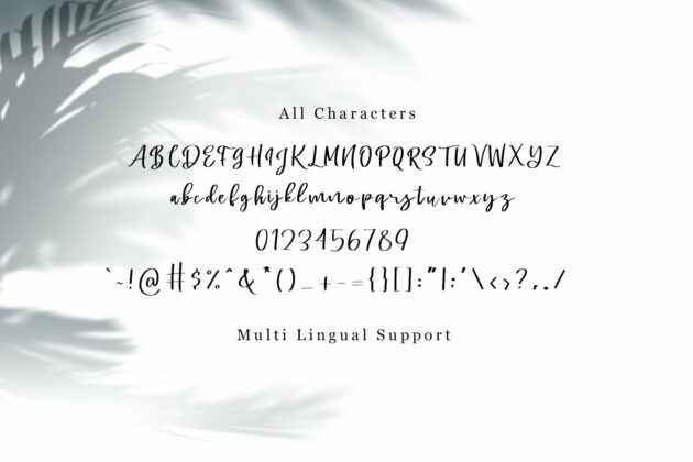 Swally - Brush Script Font Poster 1