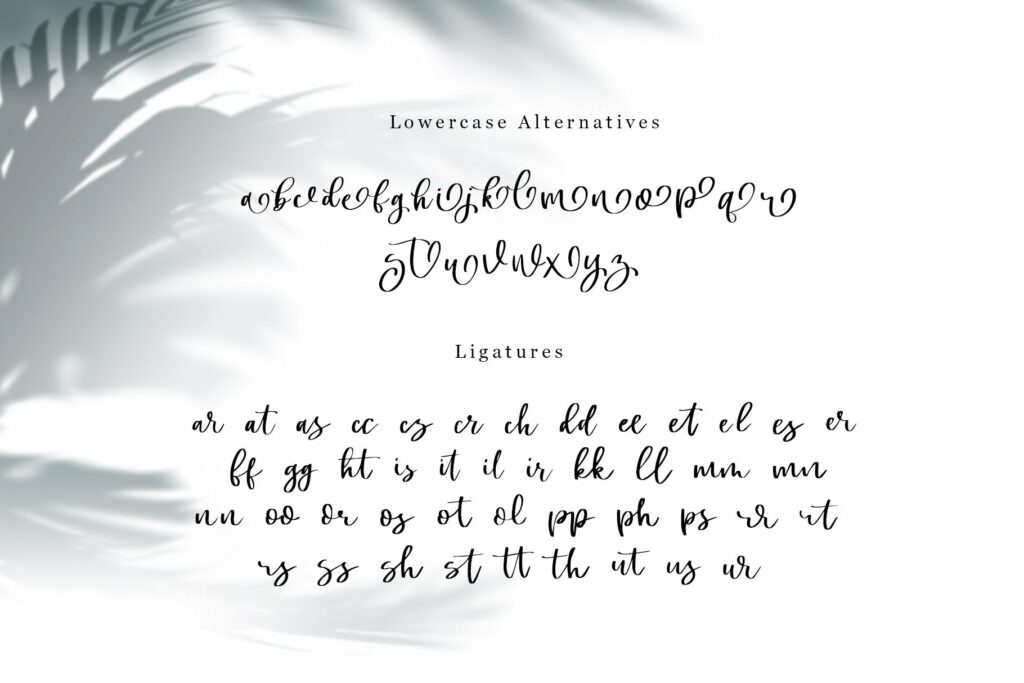 Swally - Brush Script Font Poster 5