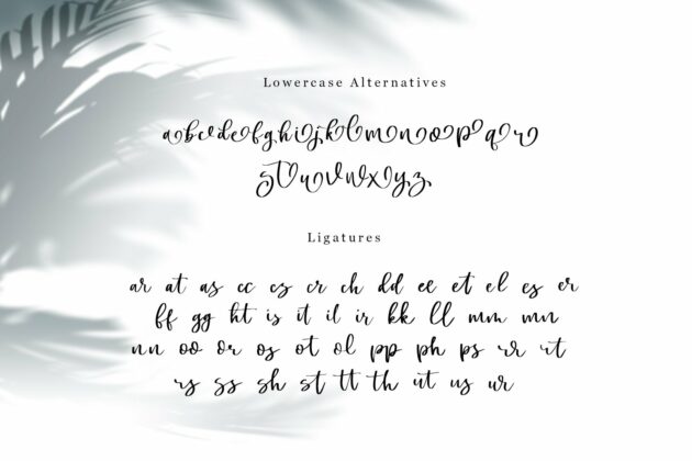 Swally - Brush Script Font Poster 5