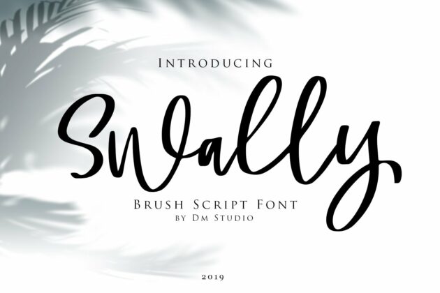 Swally - Brush Script Font Poster 8