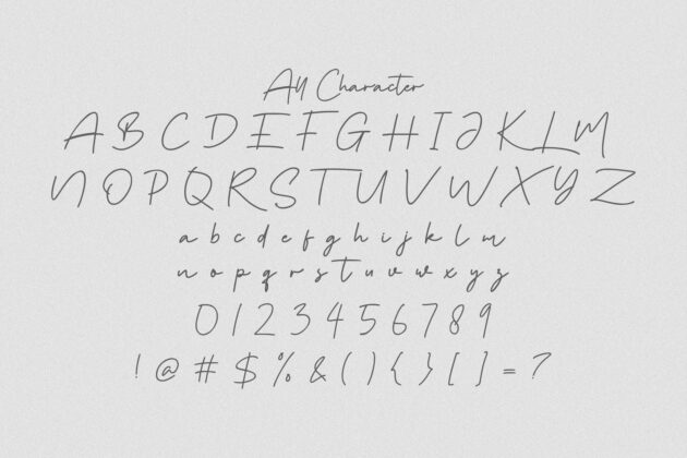 Tanya Hati - Signature Script Font Poster 10