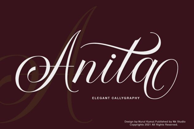 The Bridgeta Poster 1