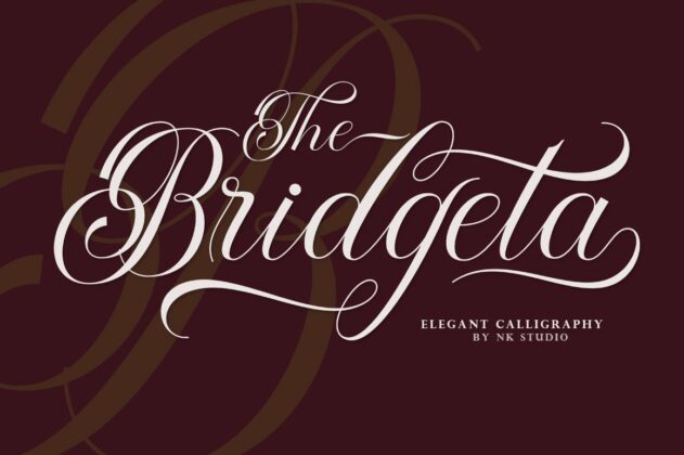 The Bridgeta Poster 6