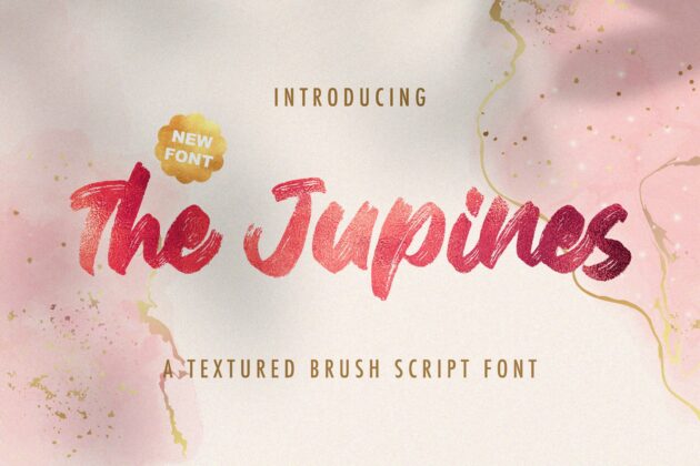 The Junipes - Textured Brush Font Poster 9