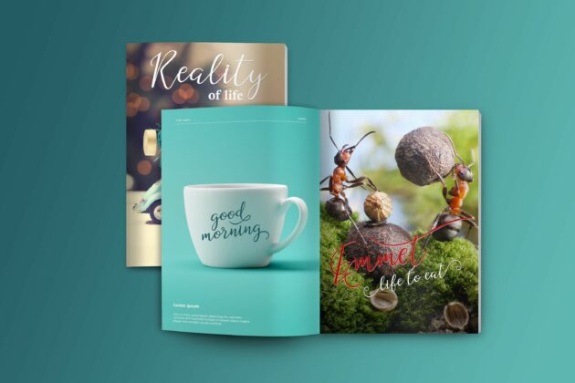 The Mini Bundle Vol 2 Poster 1