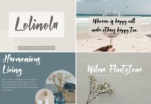 The Modern Script Bundle Poster 1