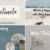 The Modern Script Bundle