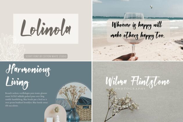The Modern Script Bundle Poster 1