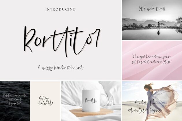 The Modern Script Bundle Poster 4