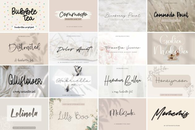 The Modern Script Bundle Poster 7