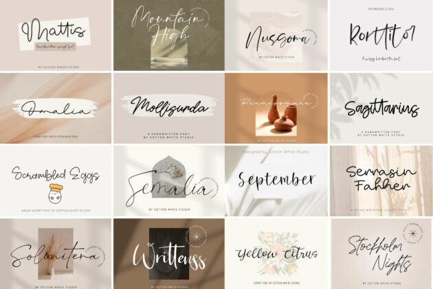 The Modern Script Bundle Poster 8