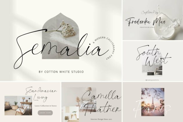 The Modern Script Bundle Poster 9