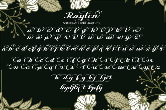 The Raylen Poster 3