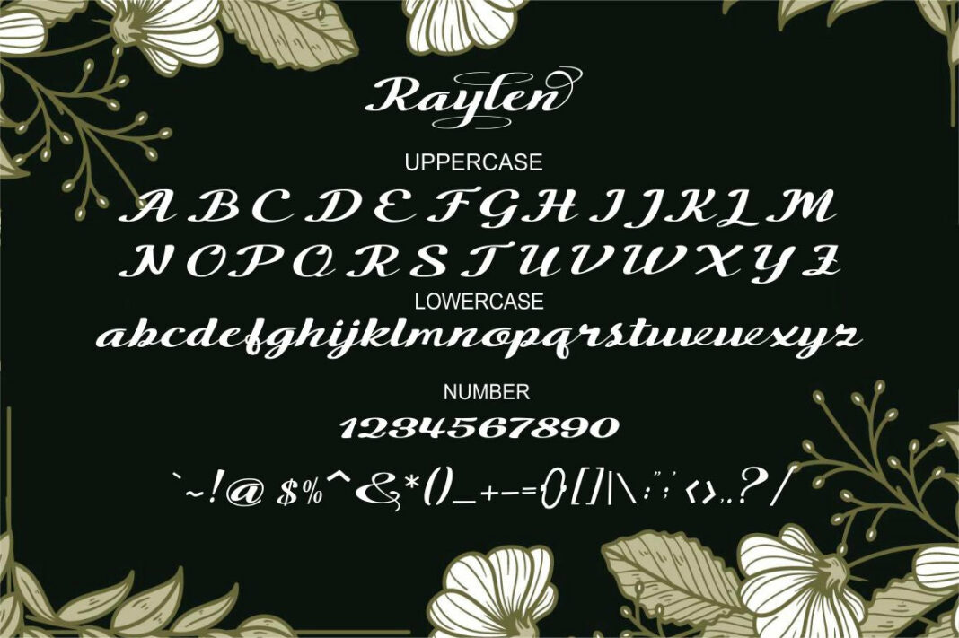 The Raylen Poster 8