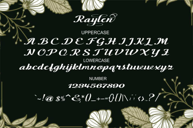 The Raylen Poster 8
