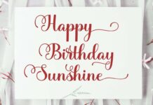 the sunshine Poster 1