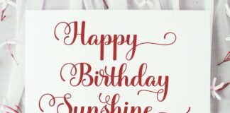 the sunshine Poster 1
