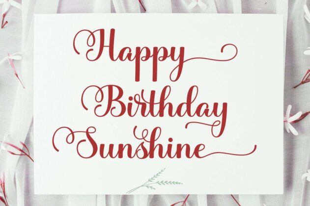the sunshine Poster 1