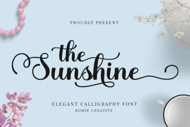 the sunshine Poster 2