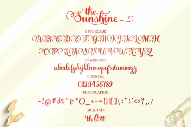 the sunshine Poster 6