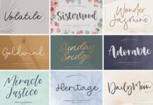 The Ultimate 50 Fonts Bundle Poster 1