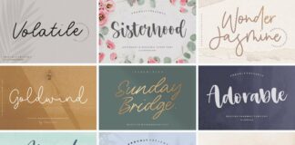 The Ultimate 50 Fonts Bundle Poster 1