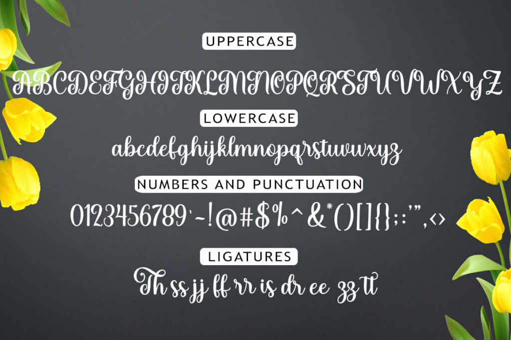 The Yolanda Font Duo Poster 5
