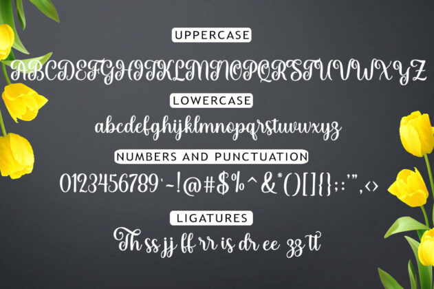 The Yolanda Font Duo Poster 5