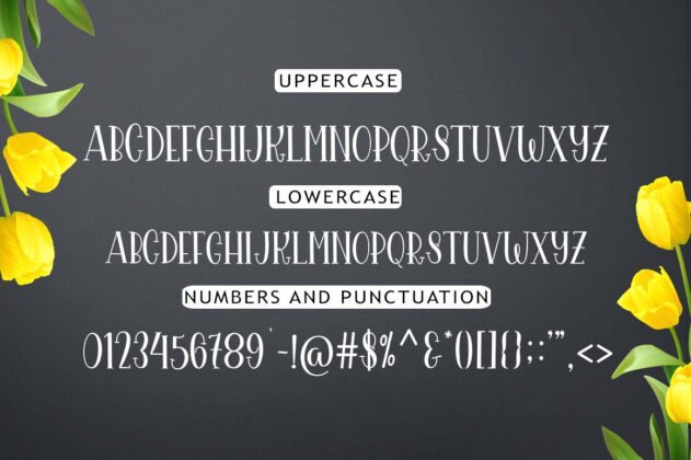 The Yolanda Font Duo Poster 9