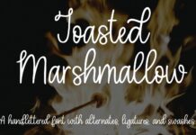 Toasted Marshmallow - A handlettered script font Poster 1