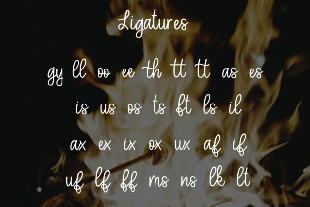 Toasted Marshmallow - A handlettered script font Poster 6