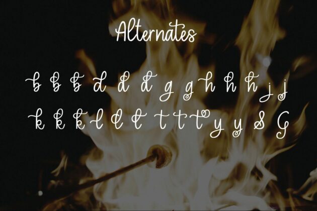 Toasted Marshmallow - A handlettered script font Poster 7