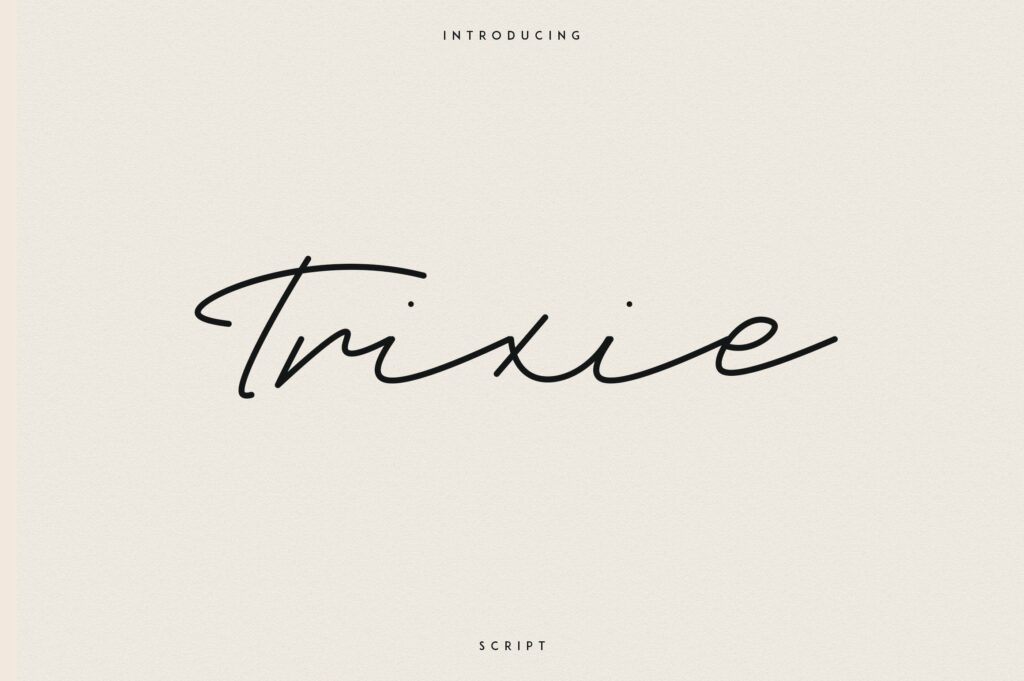 Trixie Script - 3 Weights Poster 6