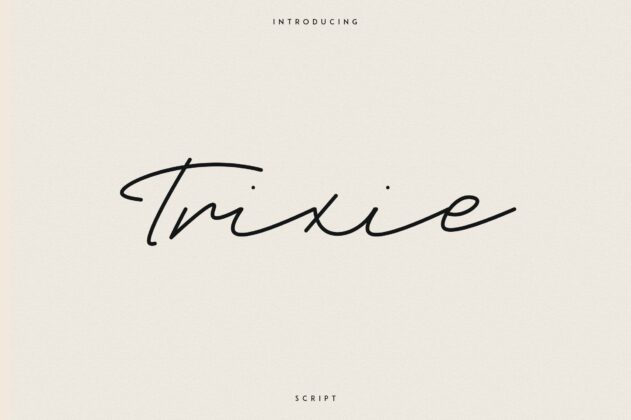 Trixie Script - 3 Weights Poster 6