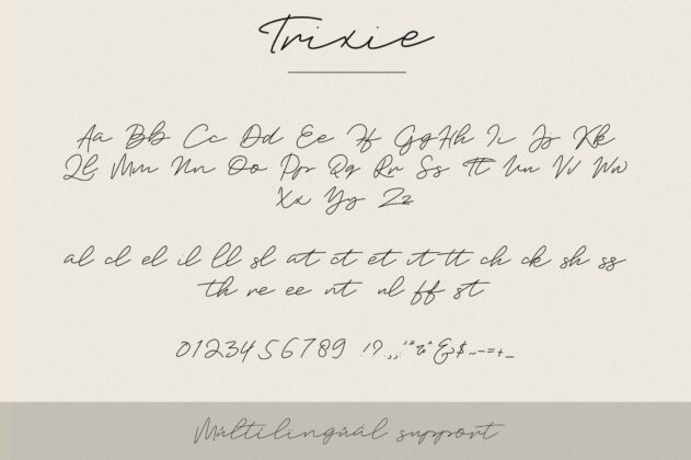 Trixie Script - 3 Weights Poster 10