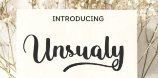 Unsualy Poster 1