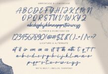 Vaizonlly - Bold Script Font Poster 1