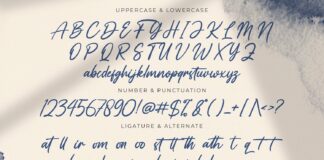Vaizonlly - Bold Script Font Poster 1