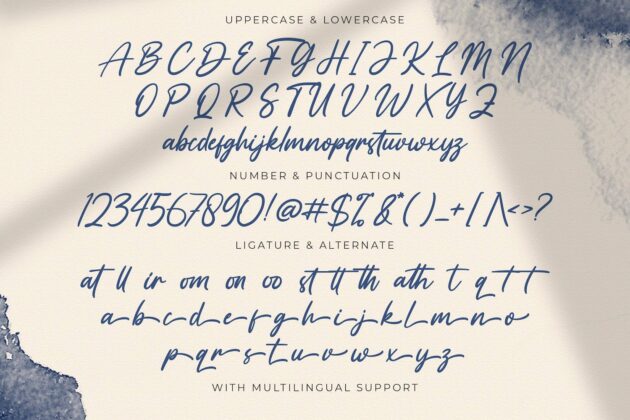 Vaizonlly - Bold Script Font Poster 1