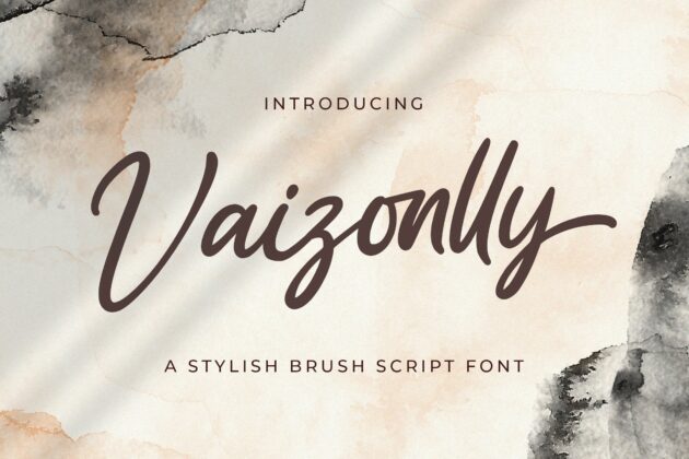 Vaizonlly - Bold Script Font Poster 7