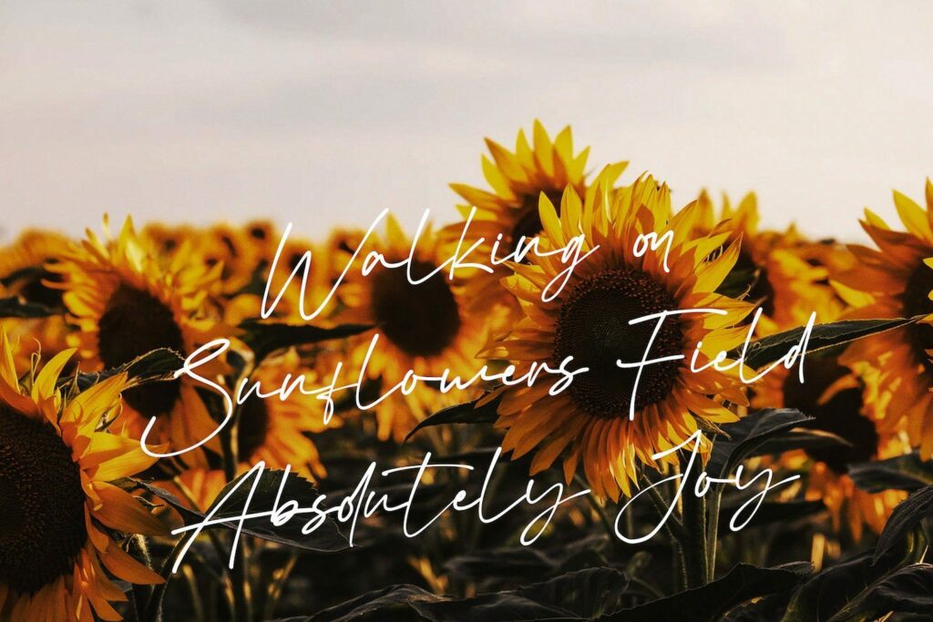 Virgi Theory - Handwritten Font Poster 9