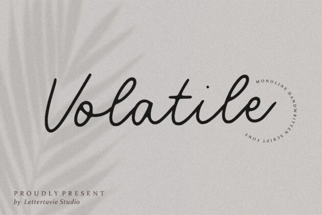 Volatile Monoline Handwritten Script Font Poster 5