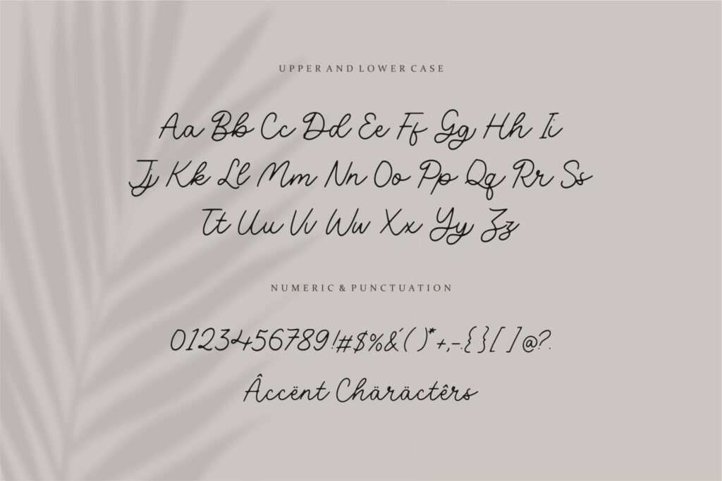 Volatile Monoline Handwritten Script Font Poster 6