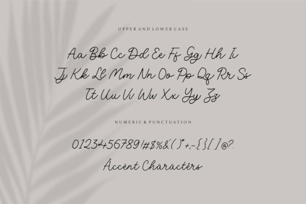 Volatile Monoline Handwritten Script Font Poster 6