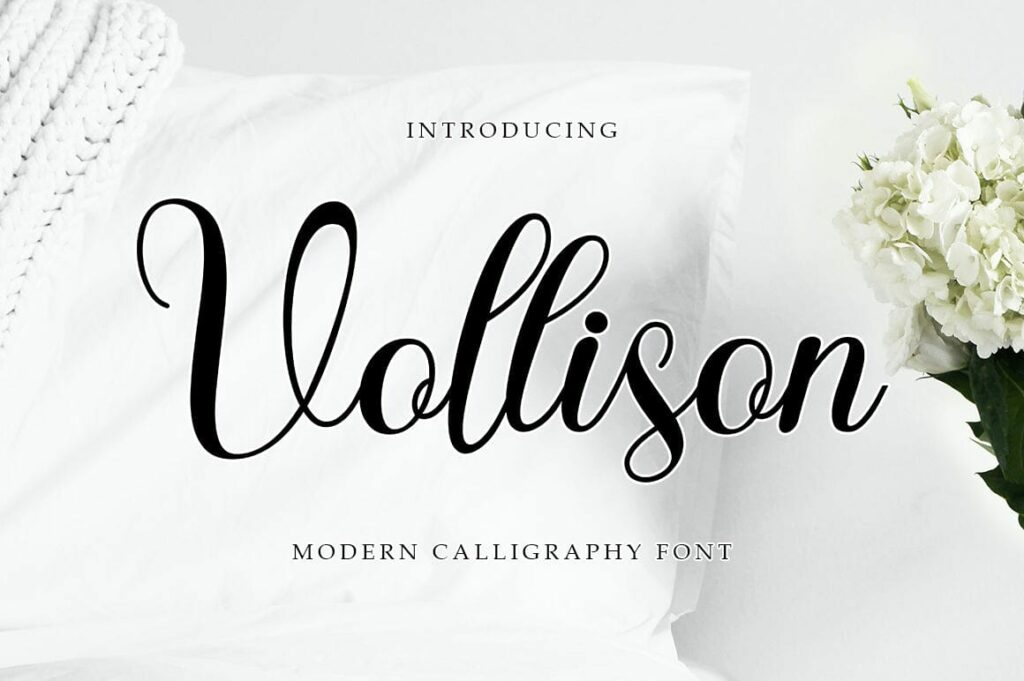 Vollison Poster 4