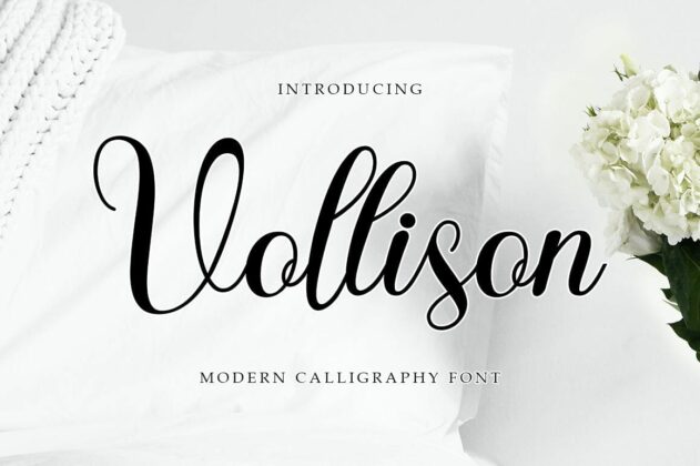 Vollison Poster 4